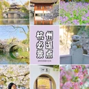 杭州西湖风景名胜区-曲院风荷 - 杭州市旅游 缩略图 1