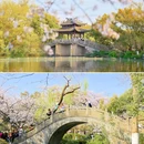 杭州西湖风景名胜区-曲院风荷 - 杭州市旅游 缩略图 4