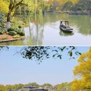 杭州西湖风景名胜区-曲院风荷 - 杭州市旅游 缩略图 6