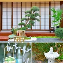 白洋桥青潮园 - 杭州市旅游 缩略图 7