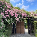 重庆南岸区江强宾馆 - 重庆市旅游 缩略图 7