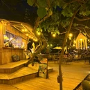 鹅公湾 - 深圳市旅游 缩略图 5