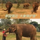 清迈 - 泰国旅游 缩略图 1