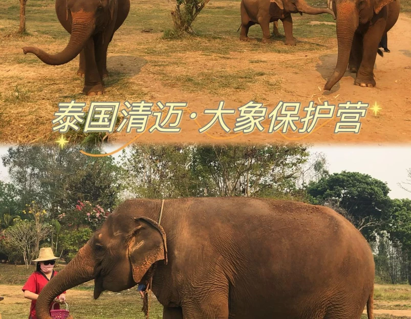 清迈 - 泰国旅游 1