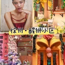 醒狮小区 - 徐州旅游 缩略图 1