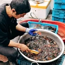 金顺龙虾·老南京菜馆(新街口店) - 南京市旅游 缩略图 8