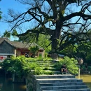 上桥村关帝庙 - 桂林旅游 缩略图 5