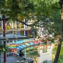 中山公园 - 佛山市旅游 缩略图 4