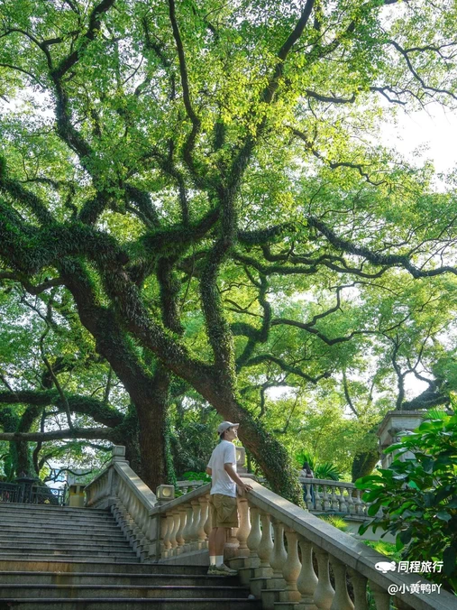 中山公园 - 佛山市旅游