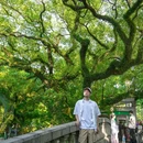中山公园 - 佛山市旅游 缩略图 9