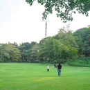 中山公园 - 佛山市旅游 缩略图 8