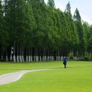 合肥滨湖国家森林公园 - 合肥市旅游 缩略图 1