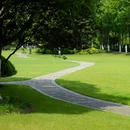 合肥滨湖国家森林公园 - 合肥市旅游 缩略图 3
