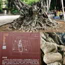 开元寺景区 - 泉州市旅游 缩略图 9