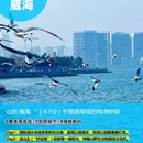 北海银滩 - 北海市旅游 缩略图 5