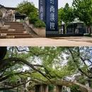 濮院时尚古镇 - 嘉兴市旅游 缩略图 2