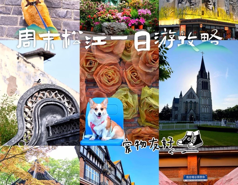广富林郊野公园 - 上海市旅游 1