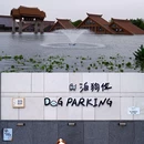 广富林郊野公园 - 上海市旅游 缩略图 9