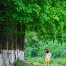 沙河公园 - 成都市旅游 缩略图 1