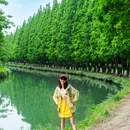 沙河公园 - 成都市旅游 缩略图 8