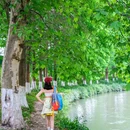 沙河公园 - 成都市旅游 缩略图 6
