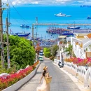 日月贝 - 珠海市旅游 缩略图 7