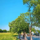 计家墩村 - 苏州市旅游 缩略图 4