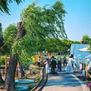计家墩村 - 苏州市旅游 缩略图 6