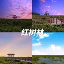 日照市灯塔广场 - 日照市旅游 缩略图 7