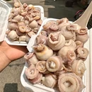 山海聚鲜啤酒屋(台东店) - 青岛市旅游 缩略图 6