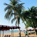 泰国 - 海外旅游 缩略图 3
