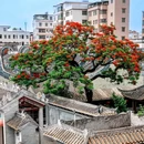 孖祠堂广场 - 广州市旅游 缩略图 3