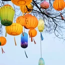 河渚街区域 - 杭州市旅游 缩略图 2