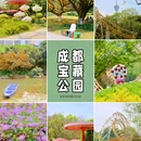 成华公园 - 成都市旅游 缩略图 1