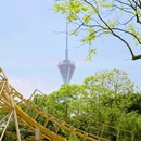 成华公园 - 成都市旅游 缩略图 3