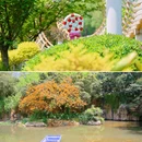 成华公园 - 成都市旅游 缩略图 7