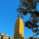 滇池 - 昆明市旅游 缩略图 8