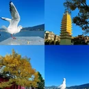 滇池 - 昆明市旅游 缩略图 3