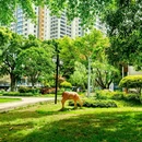 大渡口公园 - 重庆市旅游 缩略图 6