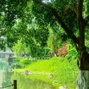大渡口公园 - 重庆市旅游 缩略图 9