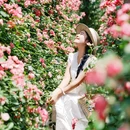 弄花里·花开半夏茶园 - 成都市旅游 缩略图 5
