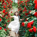 弄花里·花开半夏茶园 - 成都市旅游 缩略图 4