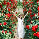 弄花里·花开半夏茶园 - 成都市旅游 缩略图 6