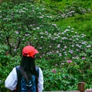 眉山瓦屋山国家森林公园 - 眉山市旅游 缩略图 7