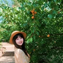 天府杏花庄伟伟果园 - 成都市旅游 缩略图 7