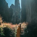 石林风景名胜区 - 昆明市旅游 缩略图 2