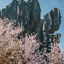 石林风景名胜区 - 昆明市旅游 缩略图 3