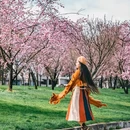 石林风景名胜区 - 昆明市旅游 缩略图 7
