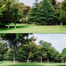 浙江省义乌市福田禅寺 - 金华市旅游 缩略图 8