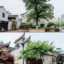 南塘老街 - 宁波市旅游 缩略图 5